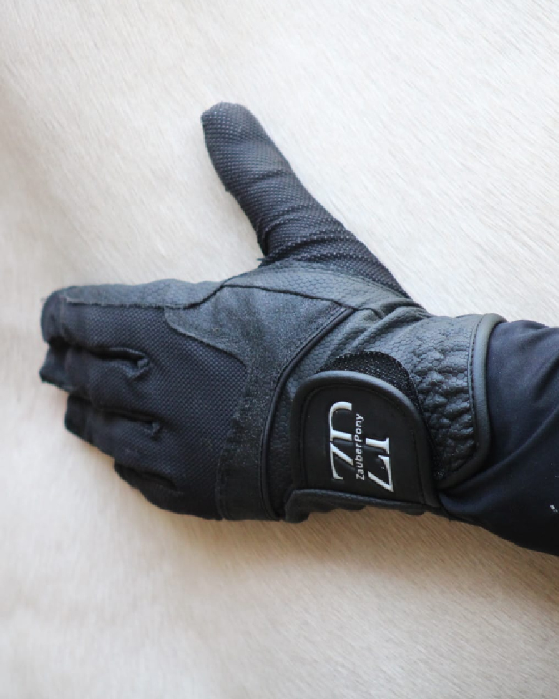 Unbenannt 3 ZP Gloves Black Glitter