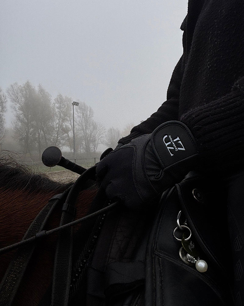 Unbenannt 4 ZP Gloves Black Glitter