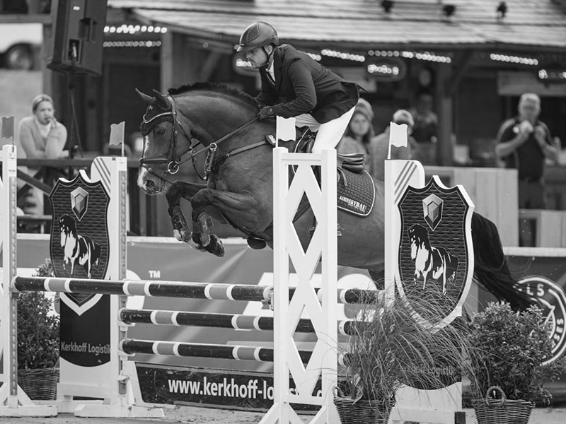 𝐙𝐚𝐮𝐛𝐞𝐫𝐏𝐨𝐧𝐲 𝐙𝐚𝐮𝐛𝐞𝐫𝐏𝐨𝐧𝐲