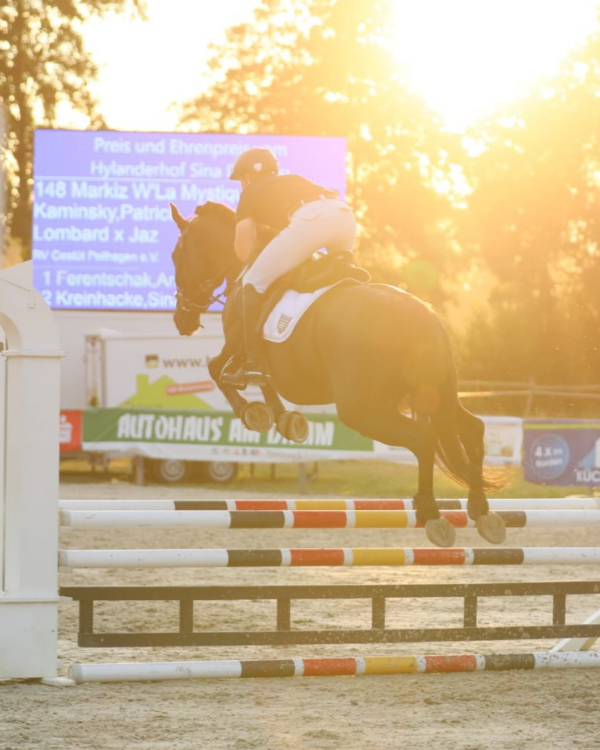 Riders 3 ZP Gloves " All Season " EQUESTRIAN