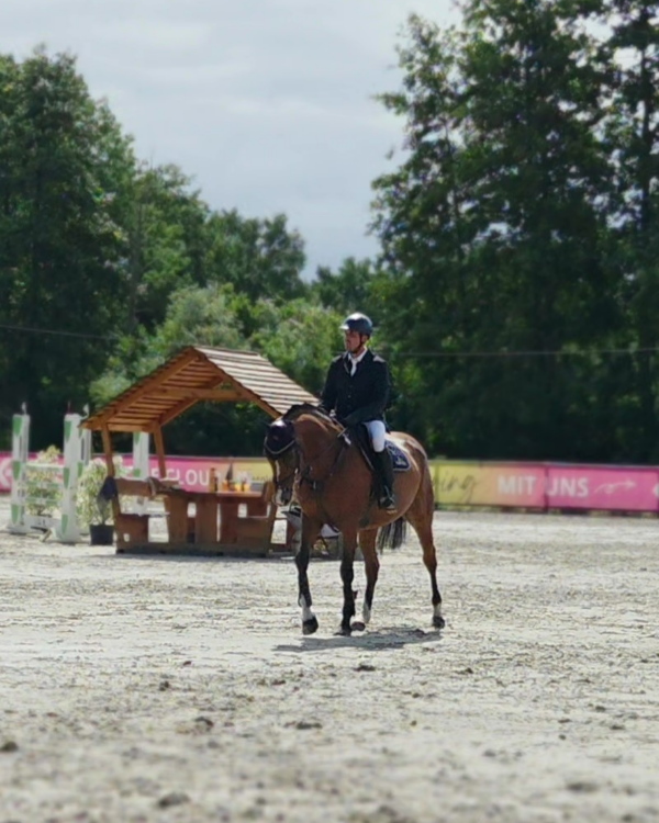 Riders 2 ZP Gloves All Season