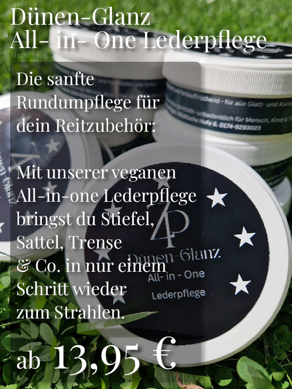 teaser-3 teaser 3 ZauberPony